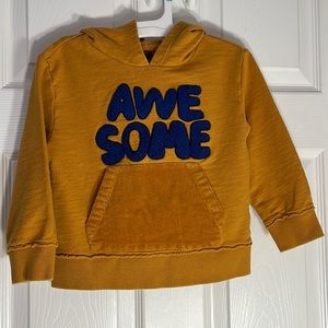 Art Class; Boy Toddler Sweatshirt, Slightly Worn, 4T, Corduroy Front Pocket